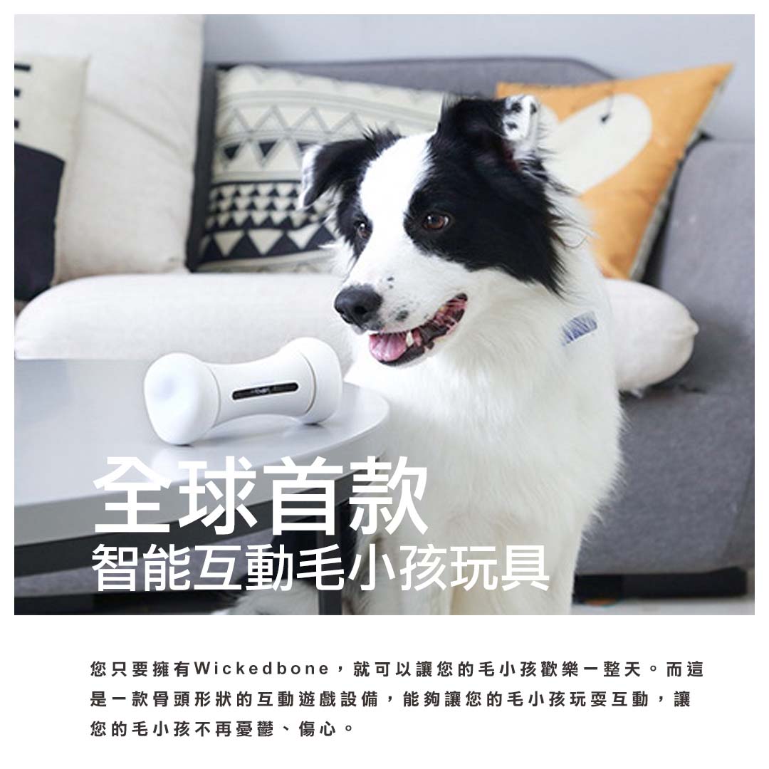 WickedBone 瘋骨頭智能寵物玩伴