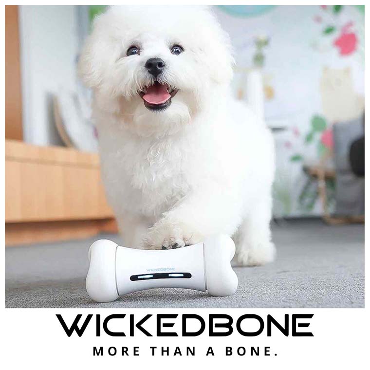 2025聖誕禮包-WickedBone 瘋骨頭智能寵物玩伴