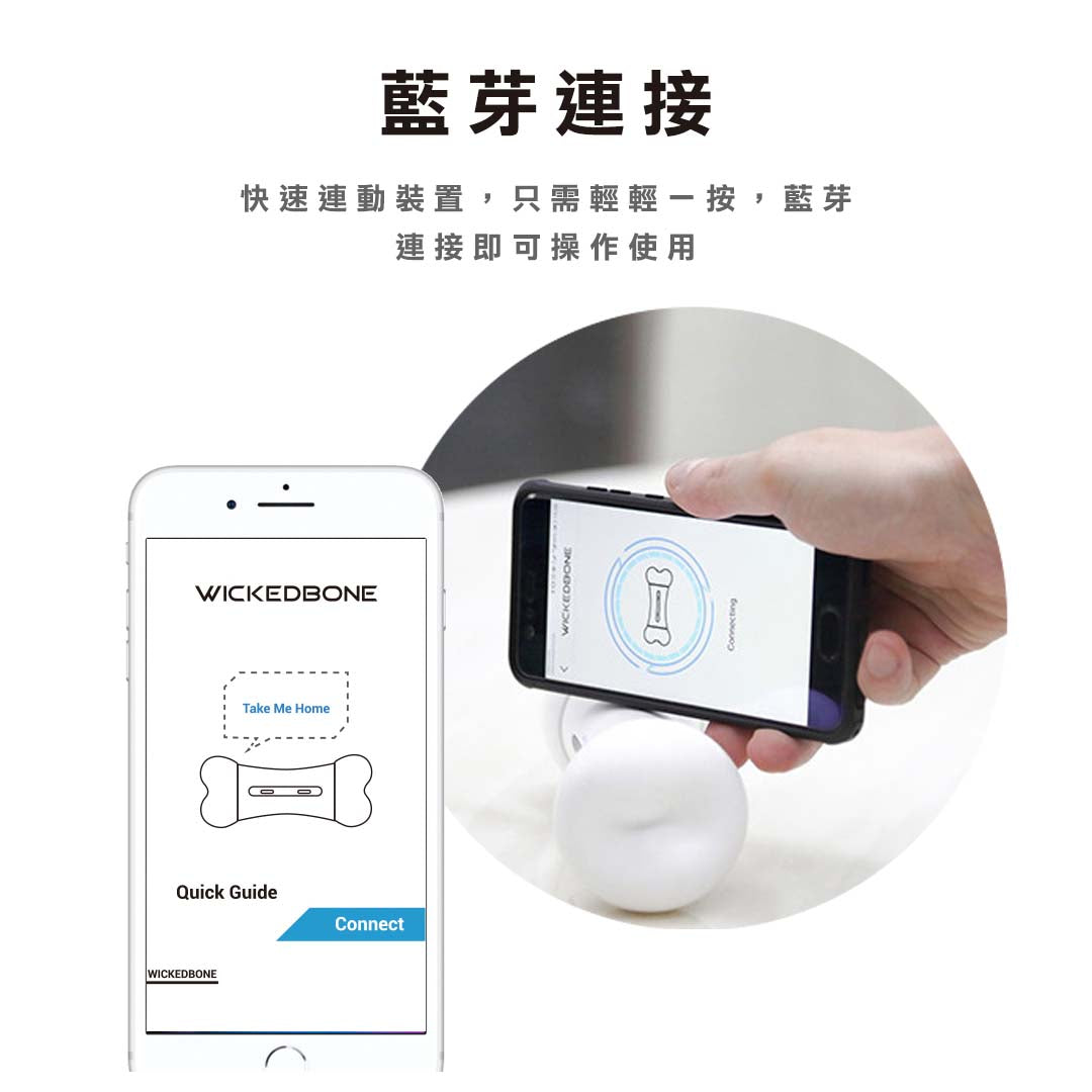 2025聖誕禮包-WickedBone 瘋骨頭智能寵物玩伴