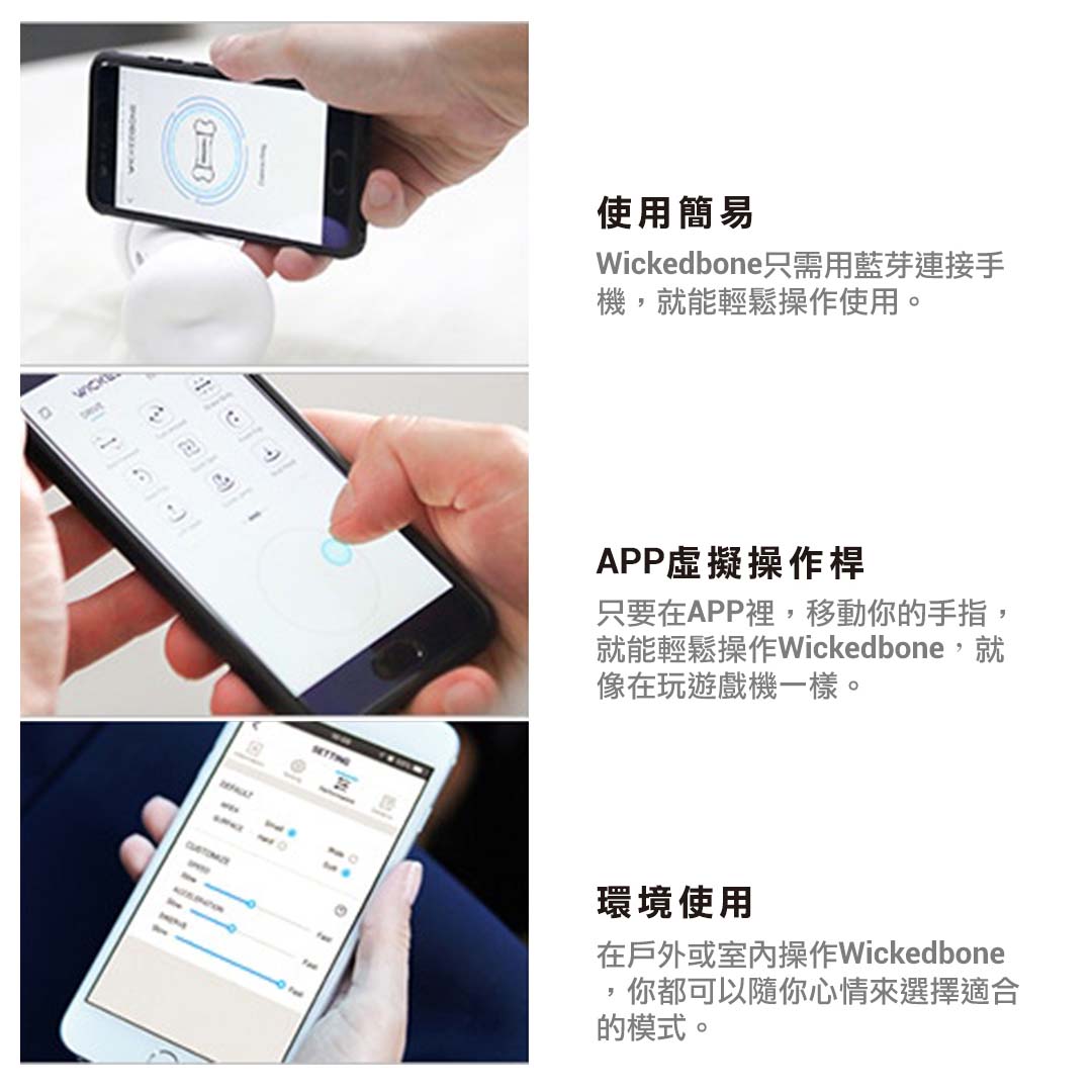 2025聖誕禮包-WickedBone 瘋骨頭智能寵物玩伴