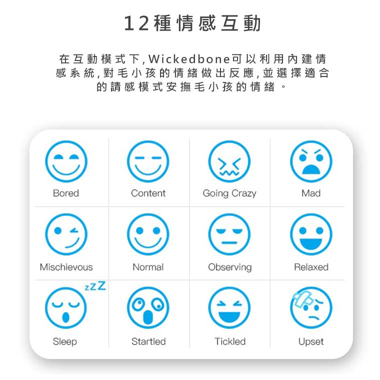 2025聖誕禮包-WickedBone 瘋骨頭智能寵物玩伴