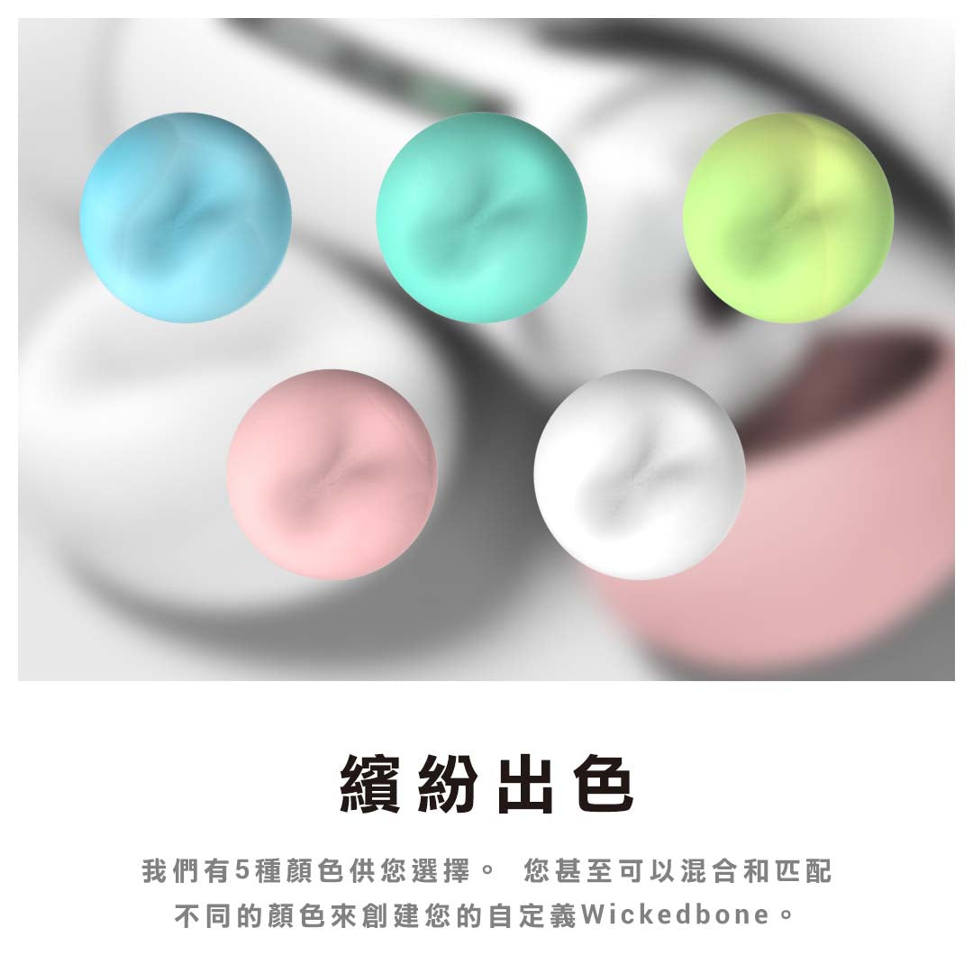 2025聖誕禮包-WickedBone 瘋骨頭智能寵物玩伴