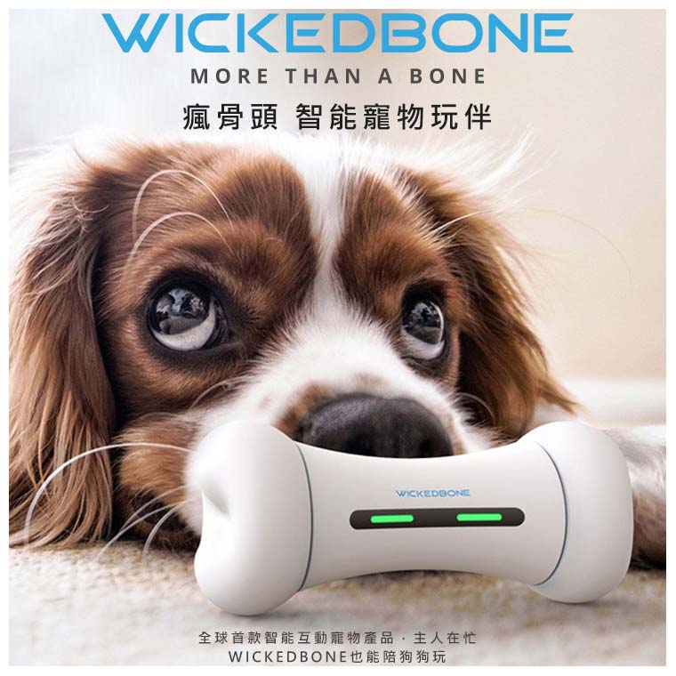 2025聖誕禮包-WickedBone 瘋骨頭智能寵物玩伴