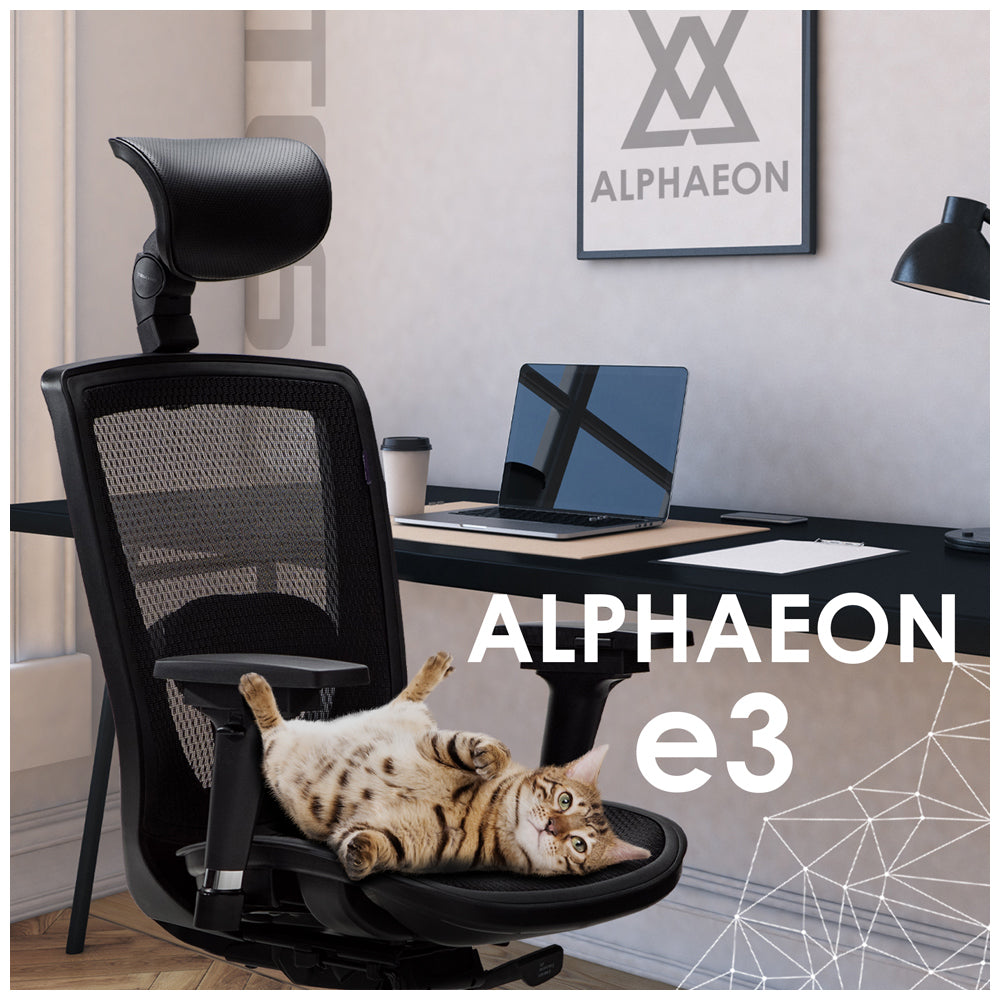 人體工學椅（Alphaeon e3）