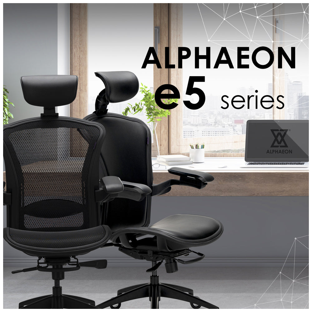 人體工學椅（Alphaeon e5）